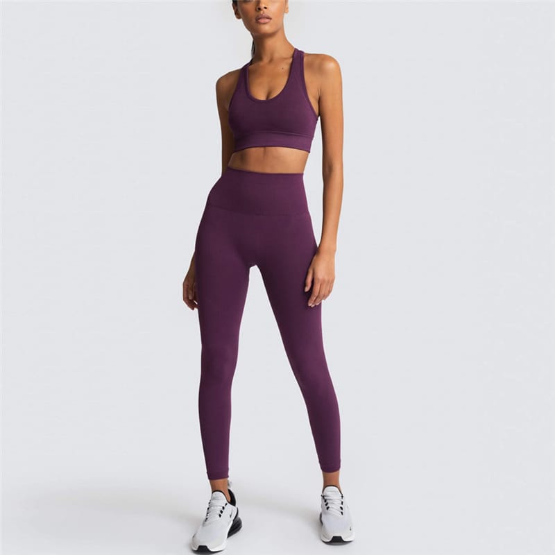 2 Piece Sports Bra and Leggings - (Purplish Red)