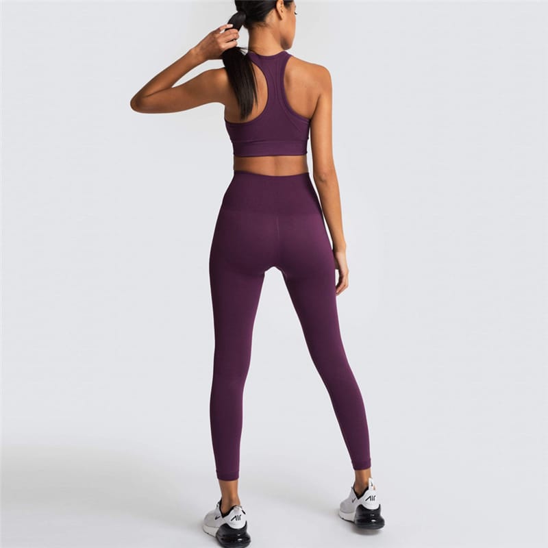 2 Piece Sports Bra and Leggings - (Purplish Red)