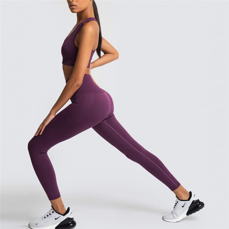 2 Piece Sports Bra and Leggings - (Purplish Red)