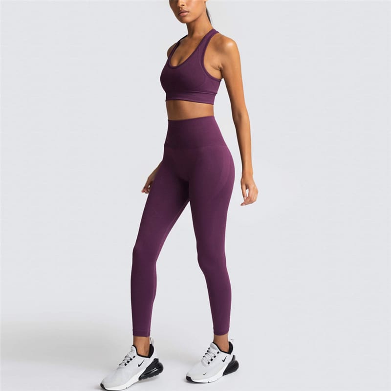 2 Piece Sports Bra and Leggings - (Purplish Red)